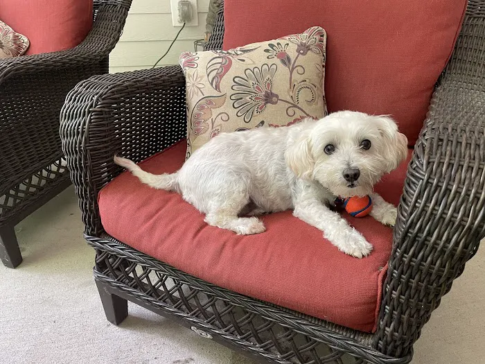 Mercy Animal Hospital Picture 7
