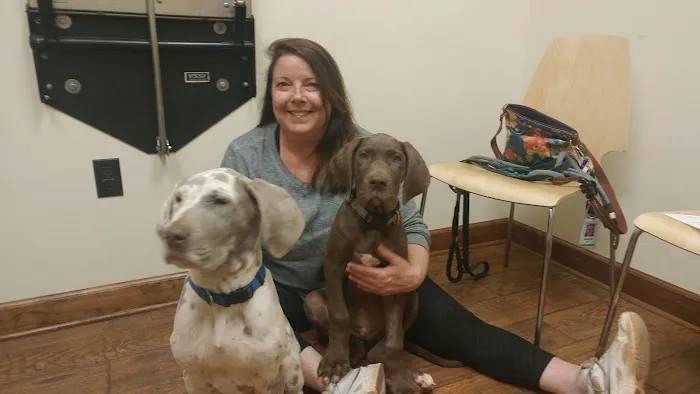Sycamore Animal Clinic Picture 8