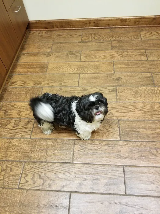 Sycamore Animal Clinic Picture 9