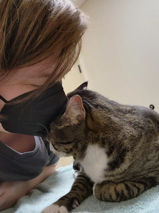 Clear Creek Animal Hospital Picture 3