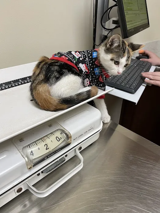 Clear Creek Animal Hospital Picture 2