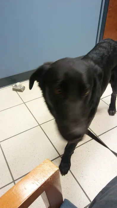 Clear Creek Animal Hospital Picture 7