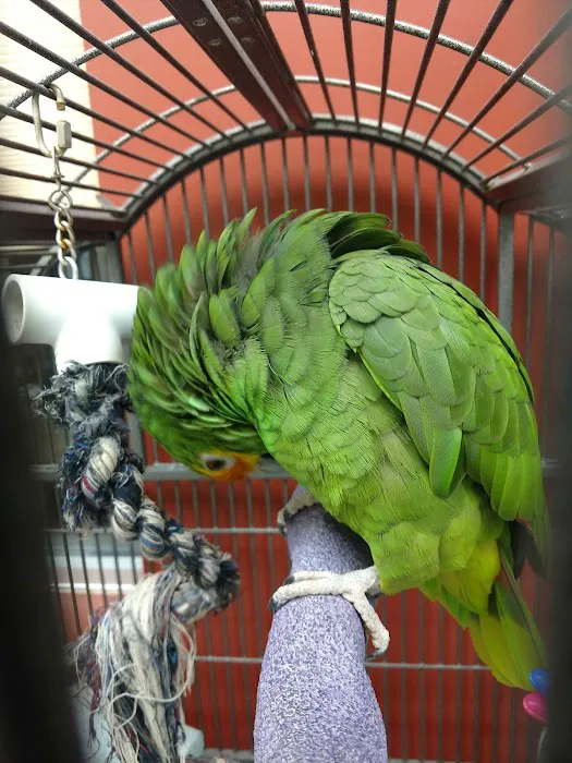 Fullwood Animal Hospital Picture 3