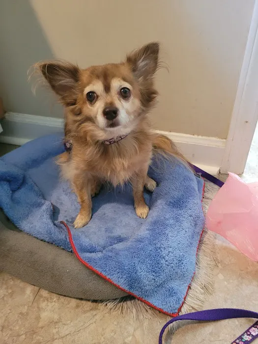 Banfield Pet Hospital Picture 1