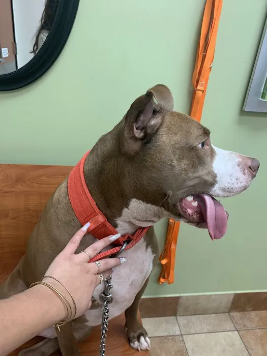 Banfield Pet Hospital Picture 4