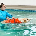 Independence Veterinary Clinic