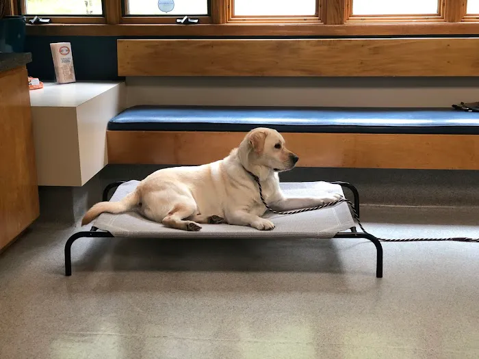 Independence Veterinary Clinic Picture 9