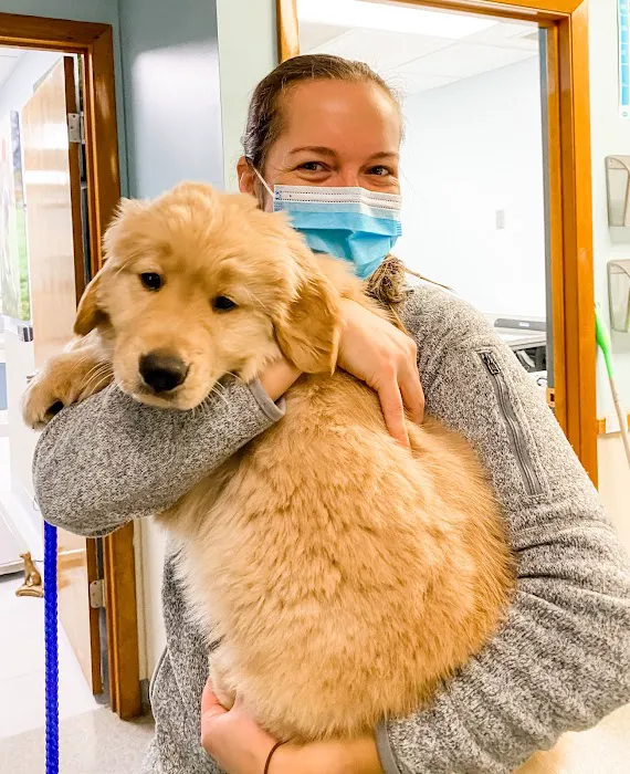 Independence Veterinary Clinic Picture 4