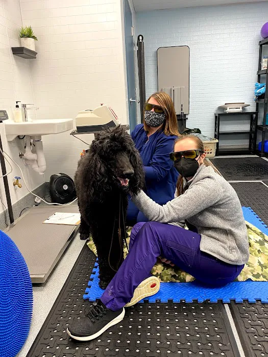 Healing Pups Charlotte Picture 5