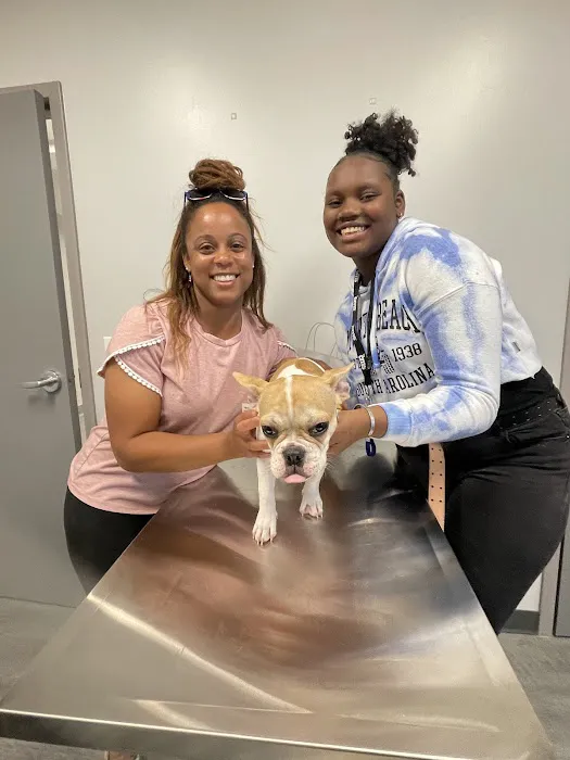 Ark Veterinary Services PLLC Picture 1