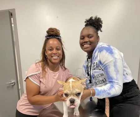 Ark Veterinary Services PLLC