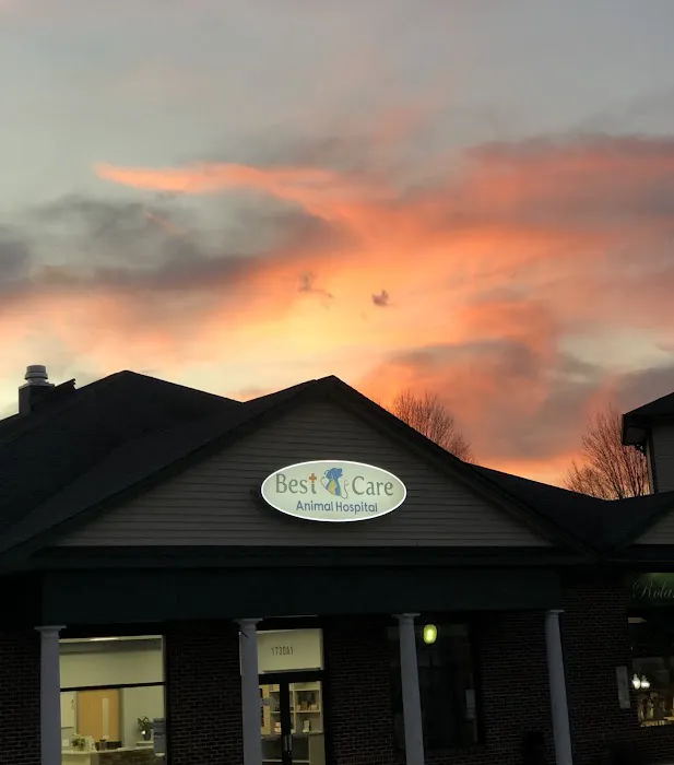 Best Care Animal Hospital Matthews & Charlotte Picture 1