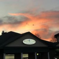 Best Care Animal Hospital Matthews & Charlotte ico