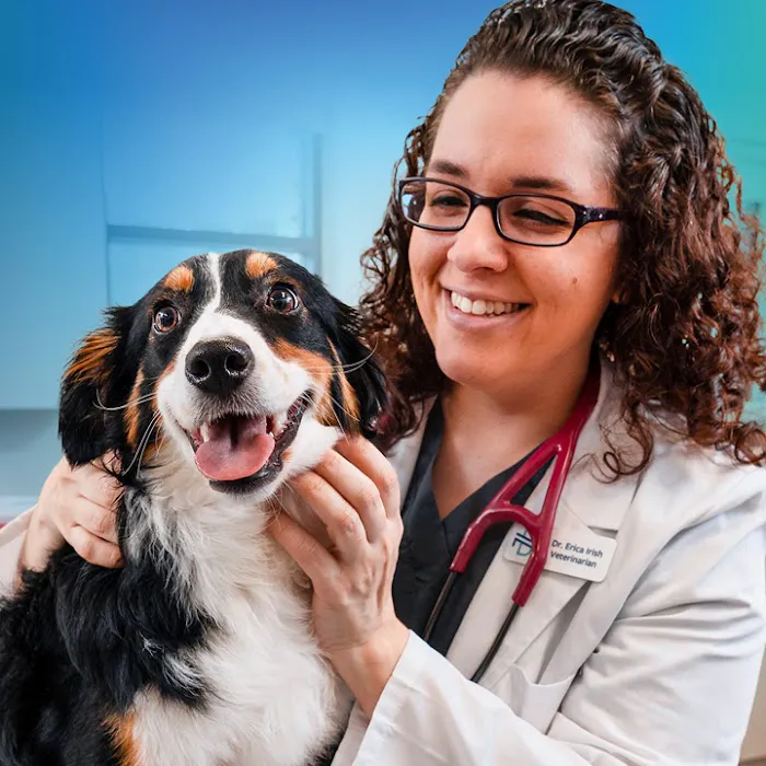 NewDay Veterinary Care Picture 6