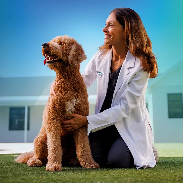 NewDay Veterinary Care Picture 2