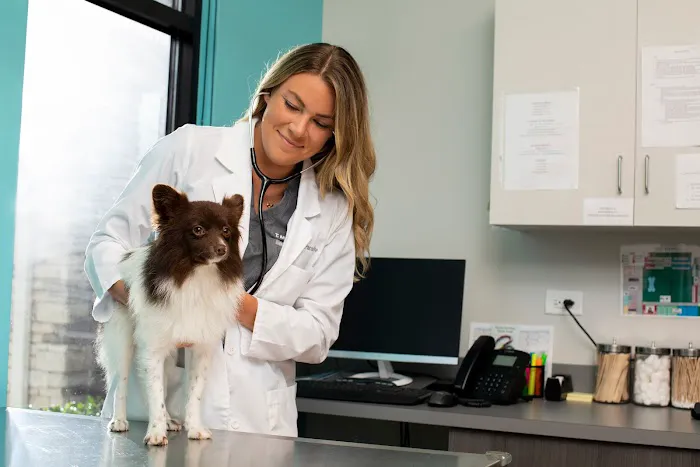 NewDay Veterinary Care Picture 1