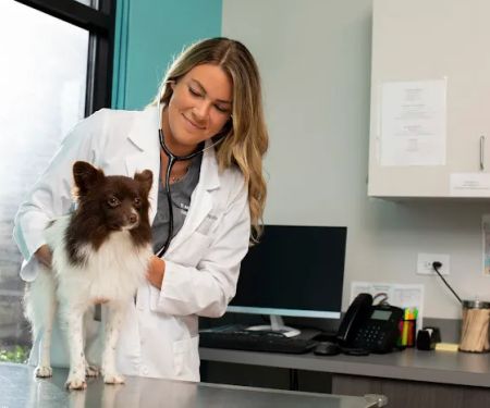 NewDay Veterinary Care
