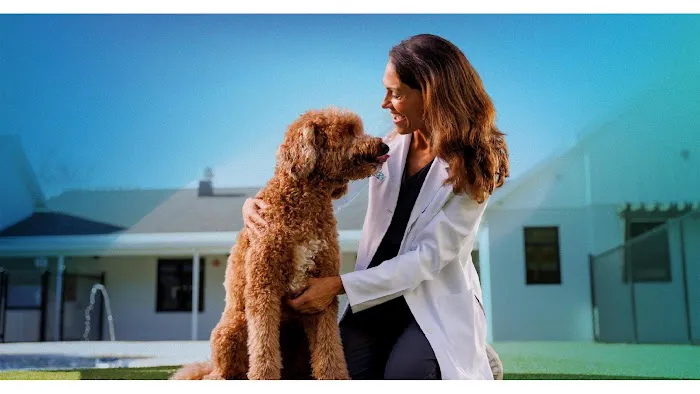 NewDay Veterinary Care Picture 3