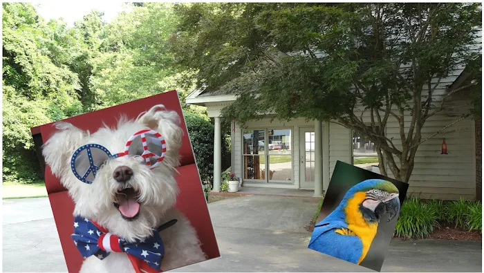 Animal Care Hospital of Matthews Picture 10