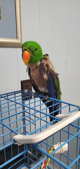 Animal Care Hospital of Matthews Picture 3