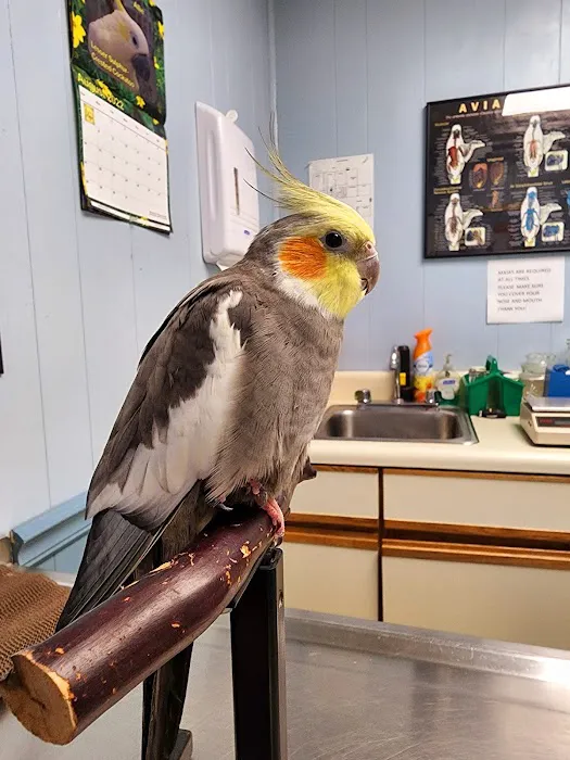 Animal Care Hospital of Matthews Picture 4