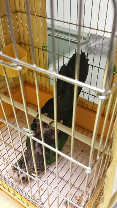 Animal Care Hospital of Matthews Picture 7