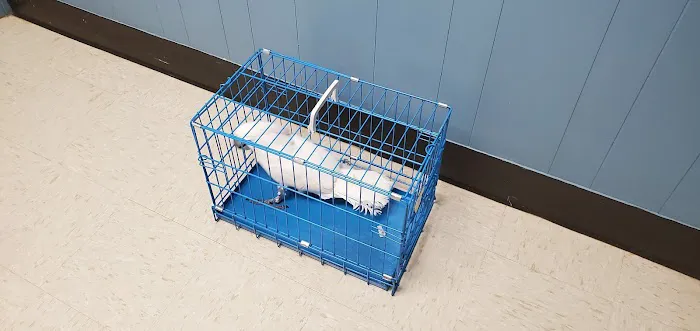 Animal Care Hospital of Matthews Picture 8