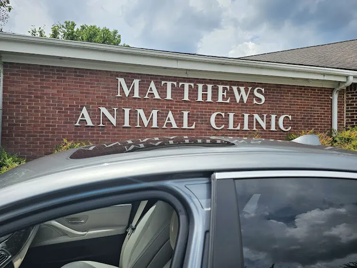 Matthews Animal Clinic Picture 5