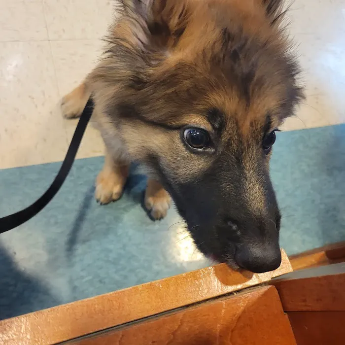 Matthews Animal Clinic Picture 10