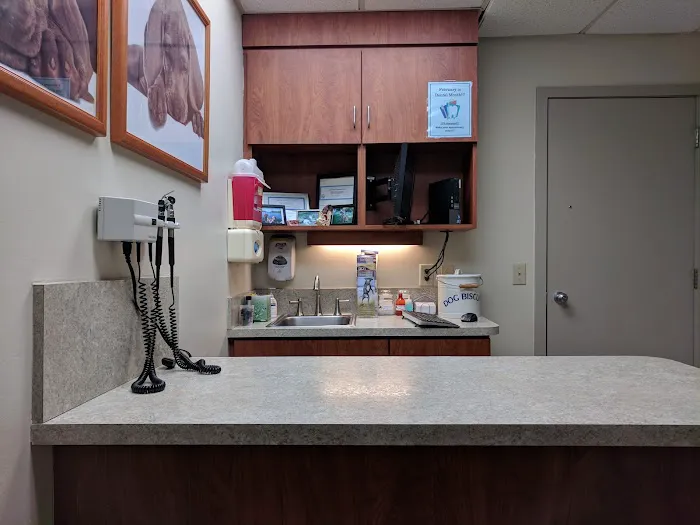 Matthews Animal Clinic Picture 1