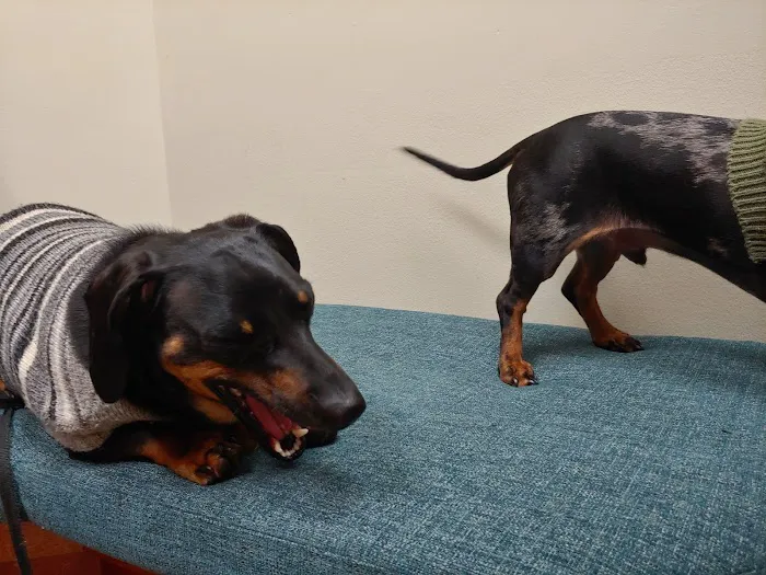 Matthews Animal Clinic Picture 4