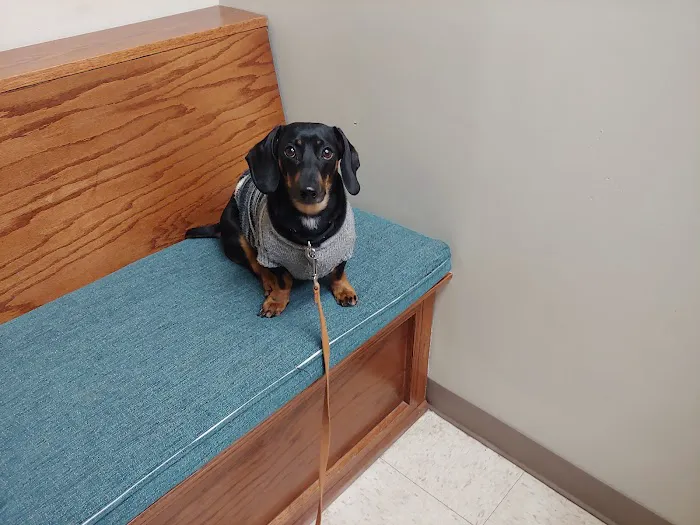 Matthews Animal Clinic Picture 7