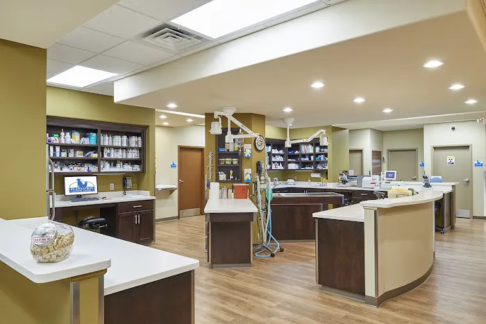 Plantation Animal Clinic Picture 2