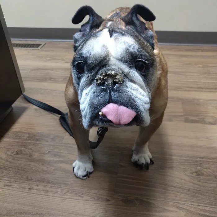 Plantation Animal Clinic Picture 10