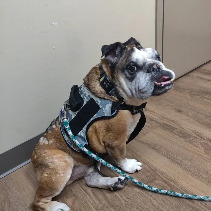 Plantation Animal Clinic Picture 9