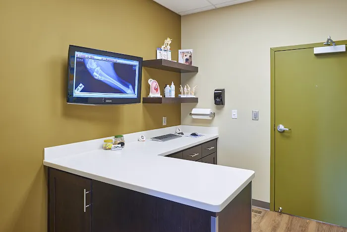 Plantation Animal Clinic Picture 5