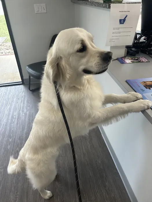 Miller Animal Hospital Picture 6