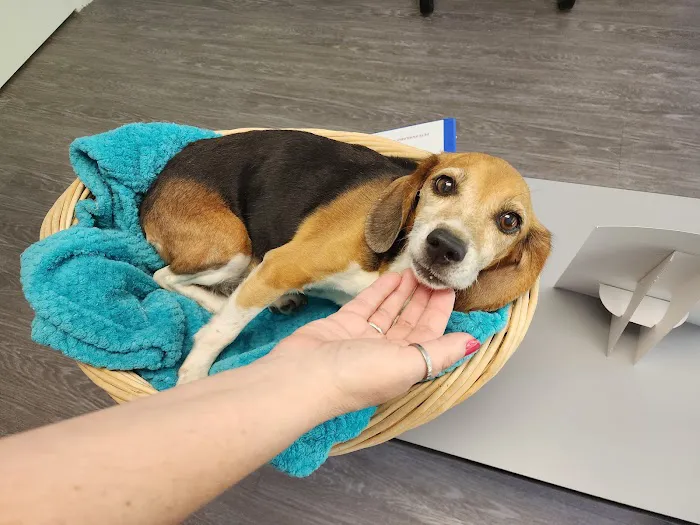 Miller Animal Hospital Picture 7