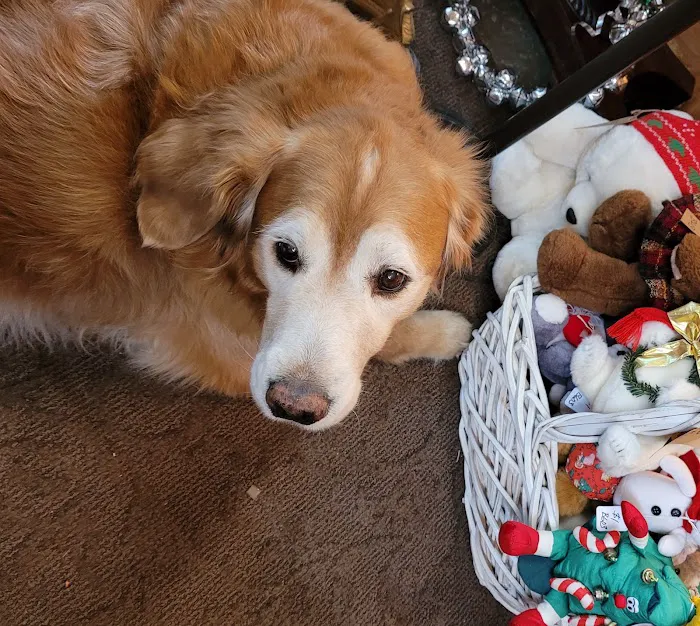 Miller Animal Hospital Picture 8