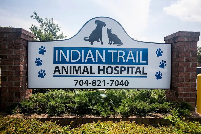 Indian Trail Animal Hospital Picture 9