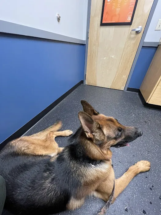 Indian Trail Animal Hospital Picture 5