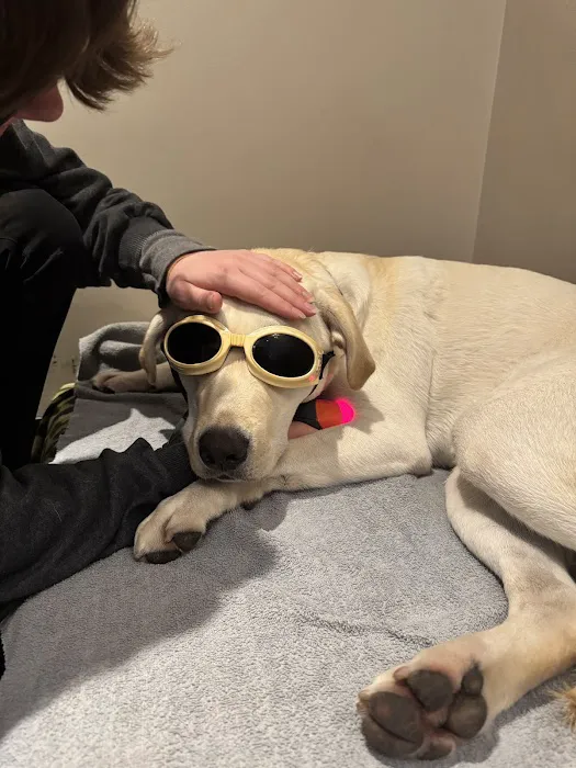 Vet-REC: Veterinary Rehabilitation & Exercise Clinic of the Carolinas Picture 6