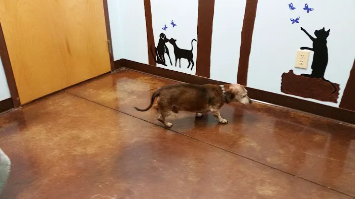 Carthage Animal Hospital Picture 4