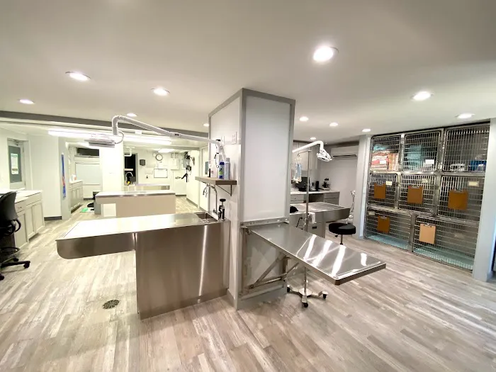 Pinehurst Animal Hospital and Dental Clinic Picture 6
