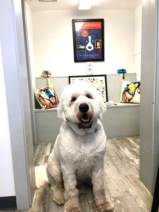 Pinehurst Animal Hospital and Dental Clinic Picture 2
