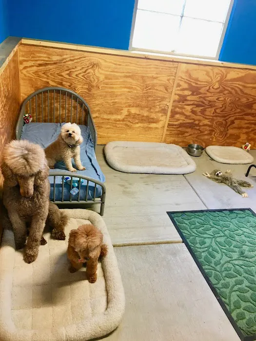 Pinehurst Animal Hospital and Dental Clinic Picture 4