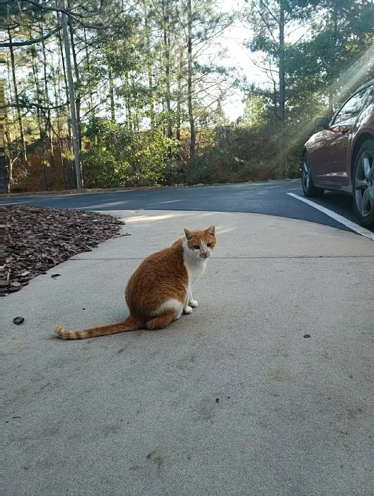 Pinetree Animal Hospital Picture 7