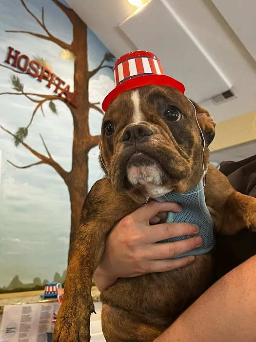 Pinetree Animal Hospital Picture 9