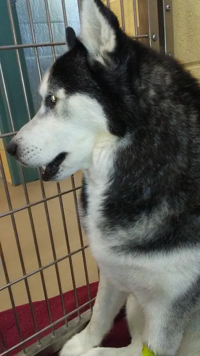 Banfield Pet Hospital Picture 1