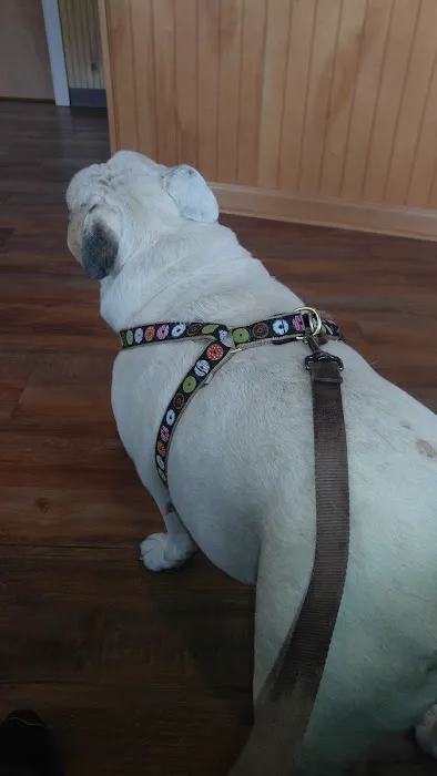 Banfield Pet Hospital Picture 4